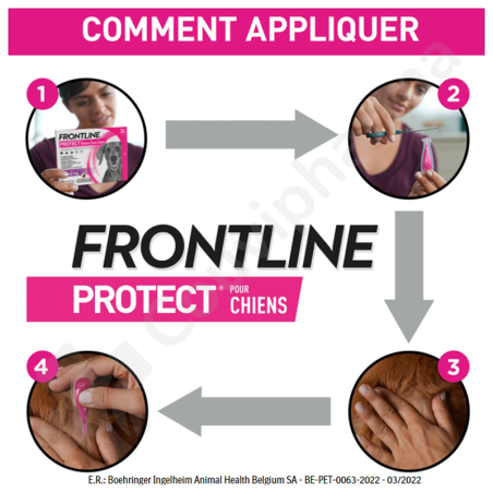 Frontline Protect Solution Pour Spot-On Chiens M 10-20 kg - 3 pipettes de 2 ml