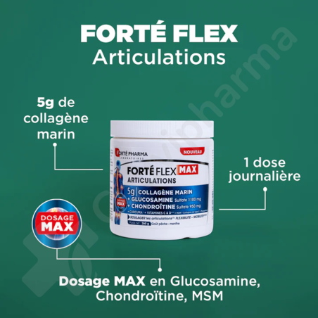 Forté Flex Max Articulations - 260g