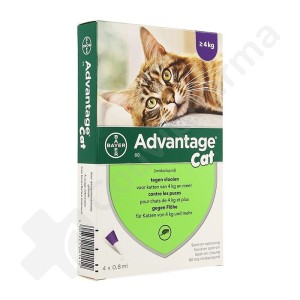 Advantage Cat 80 Chats > 4 kg - 4 pipettes van 0,8 ml