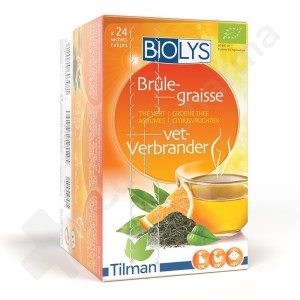 Biolys Groene Thee Citroenvruchten - 24 sachets