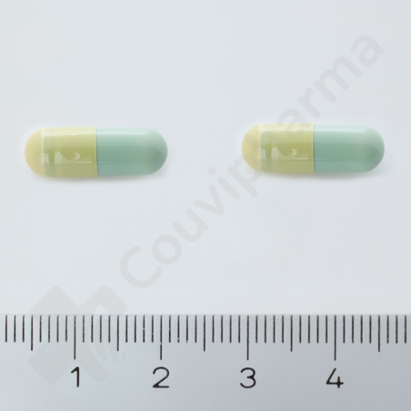 SacchiFlora 250 mg - 20 gélules