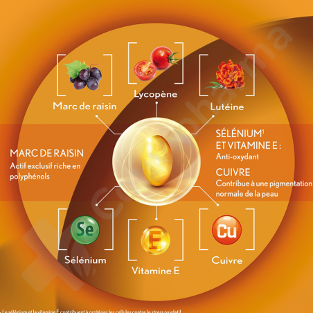 Oenobiol Sun Expert Préparateur Solaire - 30 gélules