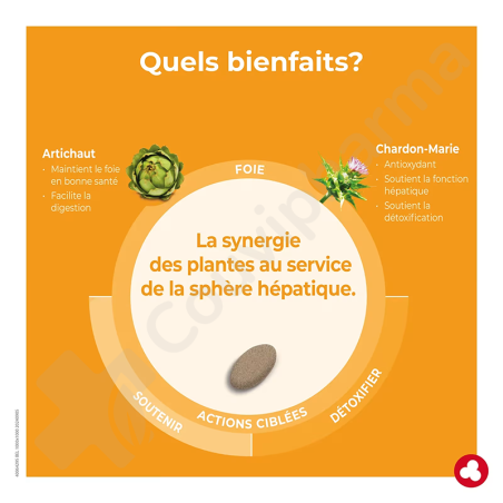 Ortis DépurFoie - 60 tabletten