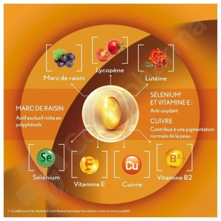 Oenobiol Sun Expert Préparateur Solaire Peau Sensible - 2x30 capsules