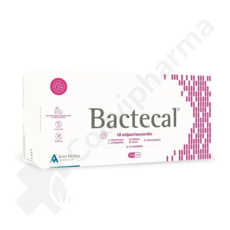 Bactecal - 64 gélules