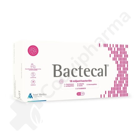Bactecal - 32 gélules