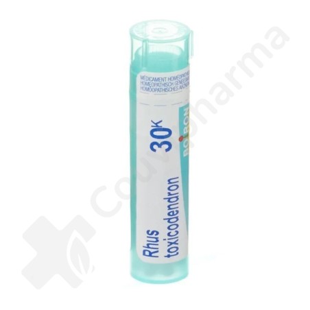 Rhus Toxicodendron 30k - Granulés 4 g