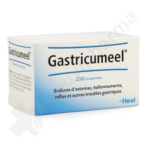 Gastricumeel - 250 comprimés