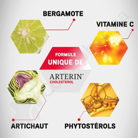 Arterin Cholestérol - 90 comprimés