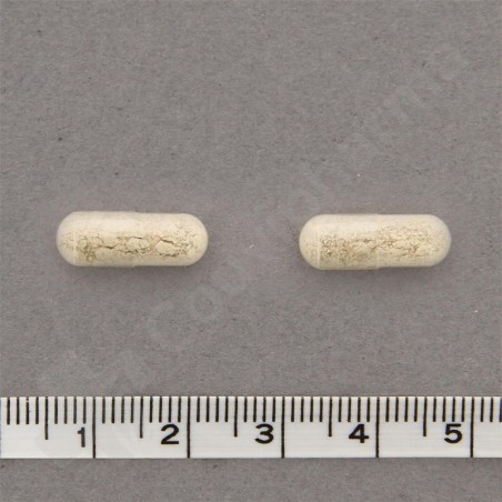 FerroDyn - 84 kauwtabletten
