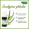 Phytosun Eucalyptus Globulus - 10 ml
