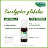 Phytosun Eucalyptus Globulus - 10 ml