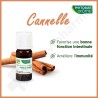 Phytosun Kaneel - 5 ml