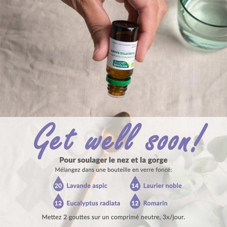 Phytosun Spijklavendel - 5 ml