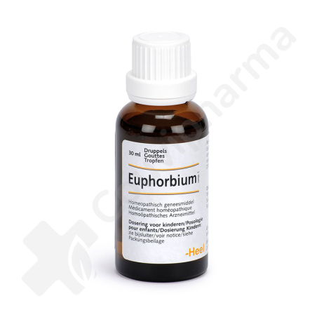Euphorbium - Gouttes 100 ml