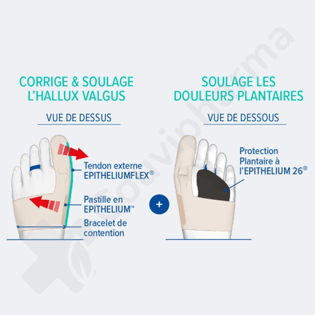 Epitact Orthèse Corrective Double Protection Oignons & Durillons Gauche - Medium
