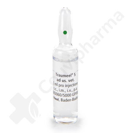 Traumeel Vétérinaire - 50 x 5 ml ampoules